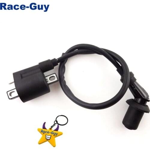 Ignition Coil For Dirt Bike CG 125cc 150cc 200cc 250cc Engine ATV Quad 4 Wheeler Moped Scooter
