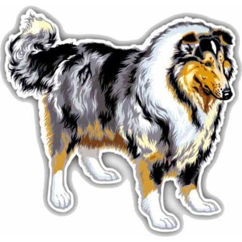 Dawasaru Long Haired Collie Dog Car Sticker Waterproof Decal Laptop Suitcase Truck Motorcycle Auto Accessories PVC,15cm*14cm