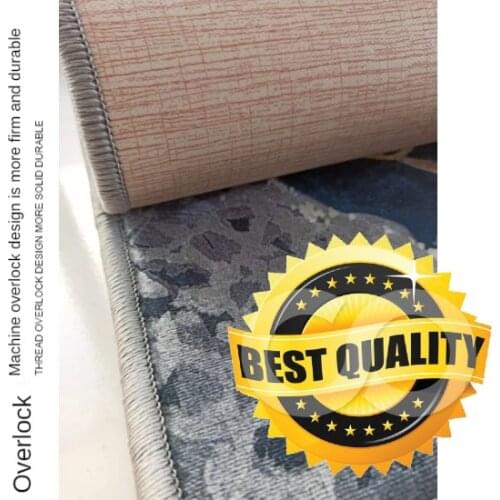 Luxury Floor Carpet Living Carpet Bed Room Fluffy Floor Carpet Window Bedside Home Decor Rug Soft Velvet Hıgh Qualıty