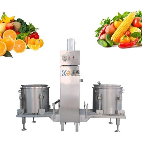 Vegetable Fruit Press Machine Cold Press Juicer Extractor Hydraulic Orange Juice Extruder Maker Grape Red Wine Presser for Sale