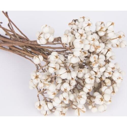 Dried Tallow Berries for Wedding Decor