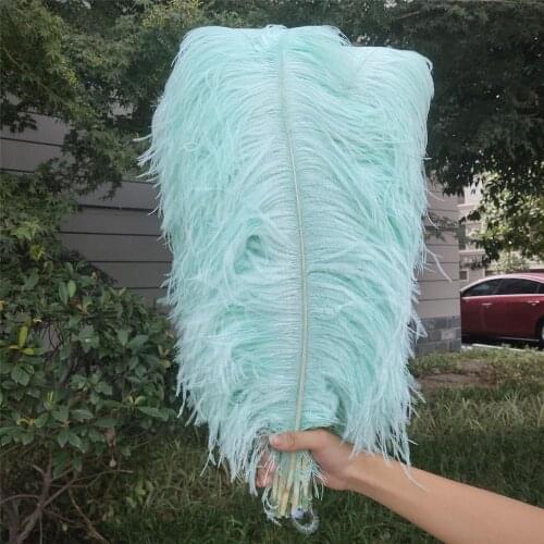Hot 50 pcs High Quantity Mint Green 24-26inch/60-65cm "thick Stem" Male Ostrich Feathers DIY Jewelry Craft Making Decoration