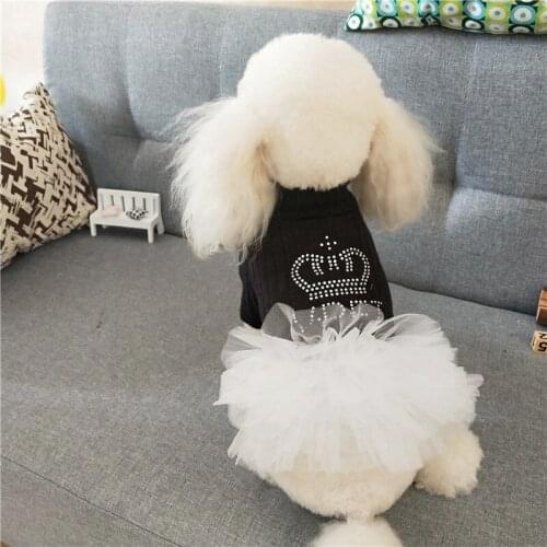 Pet Dog Clothes Thin Dog Dress Crown Hot Rhinestone Printing Tutu Skirt Small Dog Princess Skirt