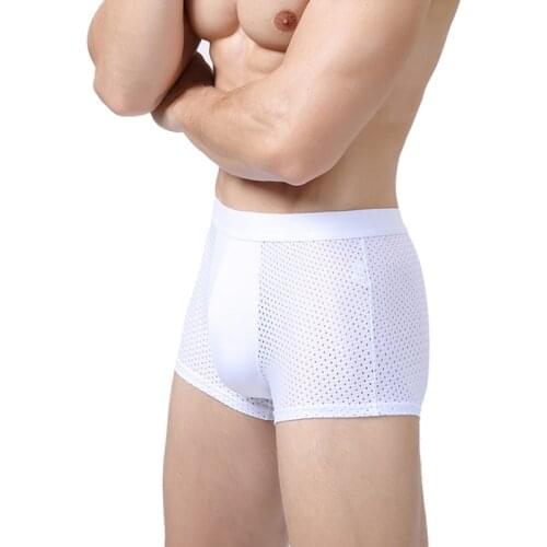 Plus Size 4XL Summer Mesh Sexy Men Boxer Shorts Boxers Underpants Homme Breathable Ventilate Bamboo Fiber Sex Night Underwear