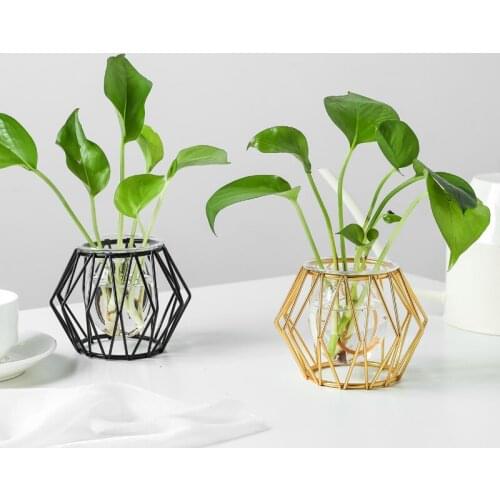Iron Line Vase Home Decoration Adornos Para Casa Flower Vase Nordic Styles Glass Ornament Aesthetic Room Decor цветы для декора