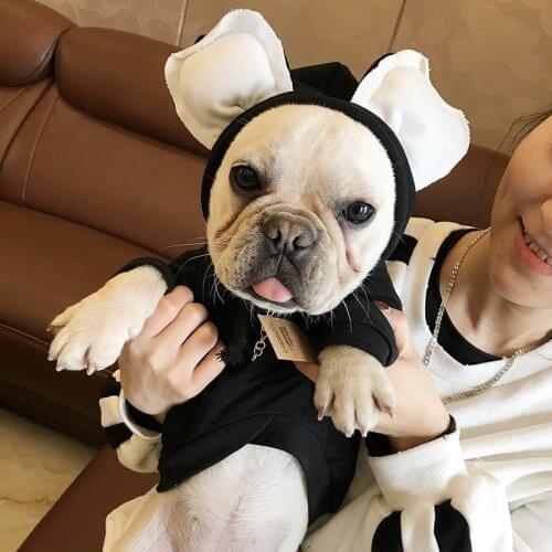 Pets Clothes for Small Dogs Hoodies for French Bulldog Jacket for Chihuahua Cotton Pet Coat Cat Ear Hooded Pug Puppy Dog Costume