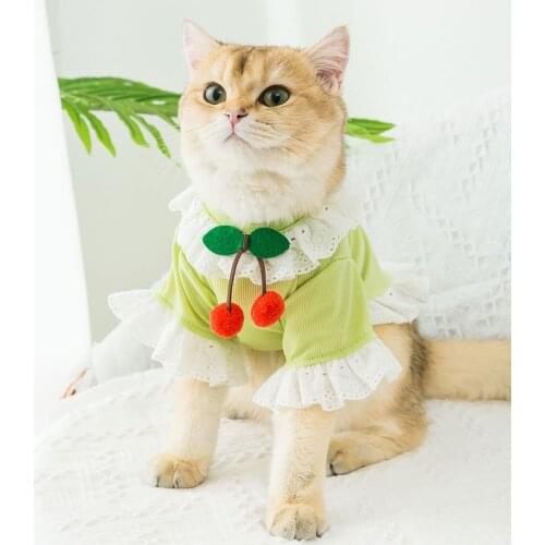 Summer Cool Pet Clothes for Small Dogs Chihuahua Teddy Puppy Cat Lace Cherry T-Shirt Breathable Cotton Ice Silk Rib Dog Vest