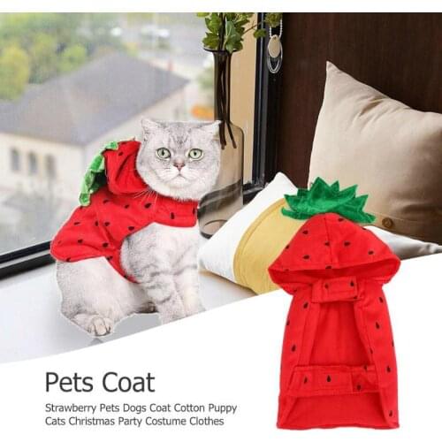 ZZSLHL Clothes For Cats