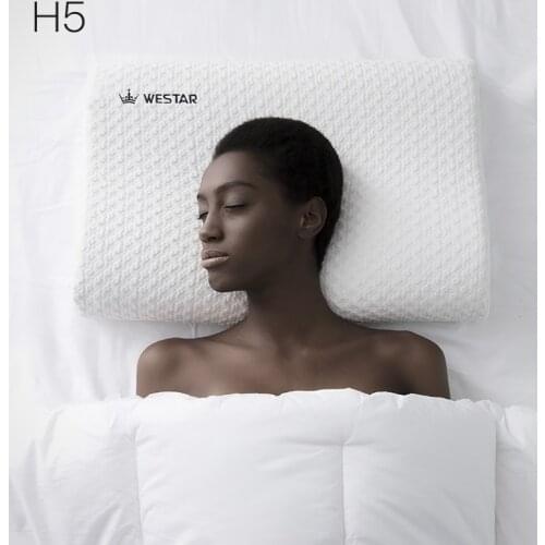 CHECA GOODS Slow rebound space memory cotton sleep cervical pillow core single protection neck pillow health pillows for adult