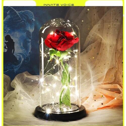 ZK50 LED Enchanted Galaxy Rose Eternal 24K Gold Foil Flower Fairy String Lights In Dome Led Lamp Best Decor Valentines Day Gift