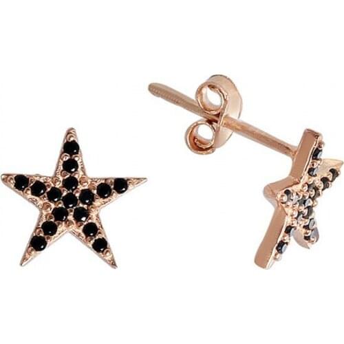 Argentum Concept-Sea Star Motif Silver Earrings-K066901