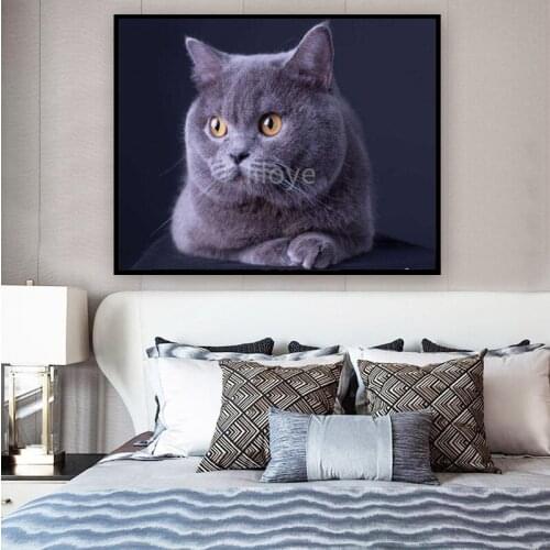5D DIY Diamond Painting animals cat Full Square /Round mosaic Rhinestones 3D Diamond Embroidery Cross stitch decoration FG1141
