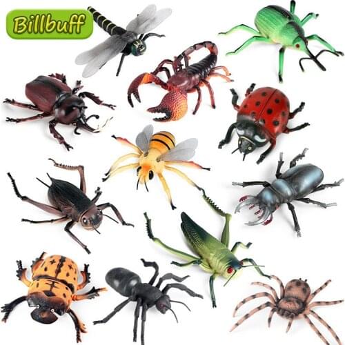 Big imulation Insect Animal PVC ladybug Bee Spider Model Action Figures Collection Miniature Cognition Educational Toys for Kids