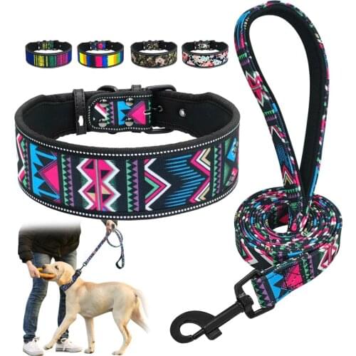 Soft Nylon Dog Collar And Leash Set Reflective Padded Dog Collar Fashion Printed Adjustable Pet Collars For Medium Large Dogs