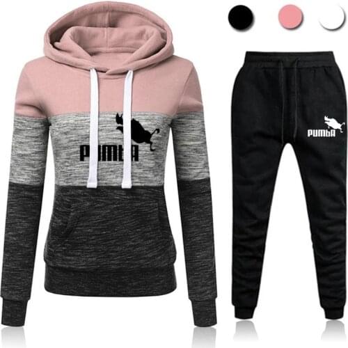 Winter Tracksuit Women 2 Piece Set Print Hoodies+pants Sportwear Womens Sports Suit Hooded Sweatshirt Set Female Winter Clothes