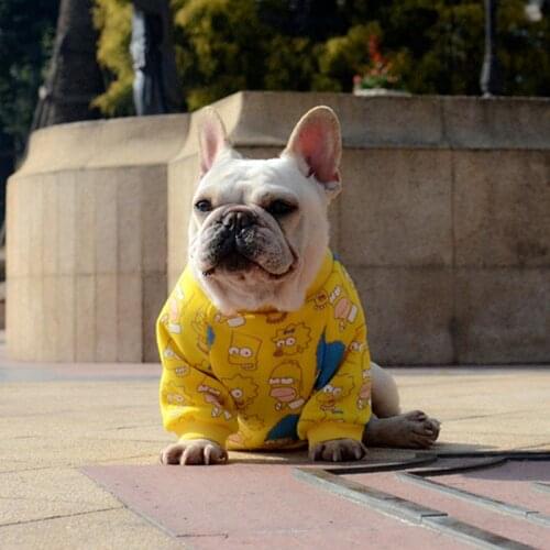 Yellow Dog Clothes, Cartoon Design Cat Clothes, Bulldog Clothes