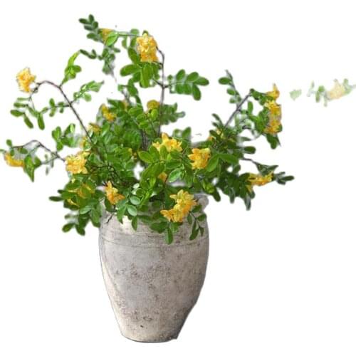 7Pcs Fake Long Stem Acacia 38" Length Simulation Sophora Flower Plastic Leaf for Wedding Home Decorative Artificial Flowers