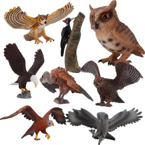 Bird Model Bald Eagle Owl Model PVC Figure for Kids Collection Early Learning Toy Props 8PCS