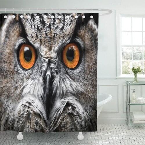 Orange Barn Owls Portrait Eyes Yellow Close Flying Animal Shower Curtain Waterproof Polyester Fabric 60 x 72 Inches with Hooks