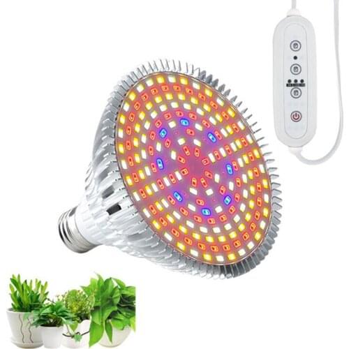 QvvCev Plant Lamps China
