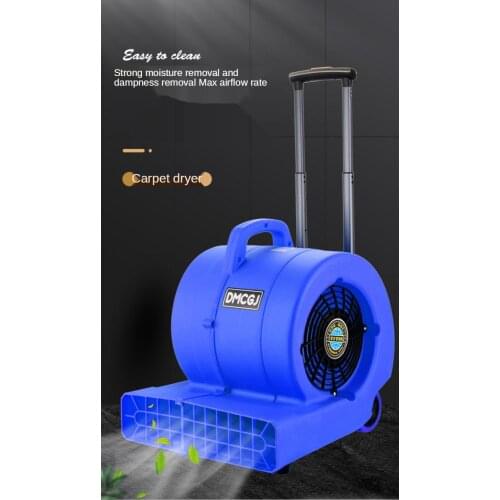 220V Floor Dryer Commercial Dry Carpet Dehumidification Hot and Cold Hair Dryer Toilet Ground Floor High-Power Blow Dryer