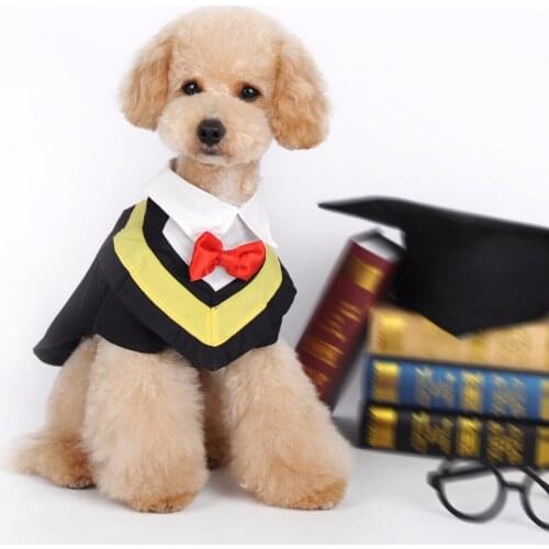 Футболки для собак CJHF China At AliExpress