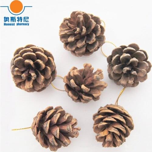 40pcs 2-3cm naturally pine cones with golden sting hanging for Christmas decoration
