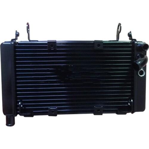 Suitable for Huanglong BJ600GS/-A/BN600i Water Tank Oil Cooler Radiator