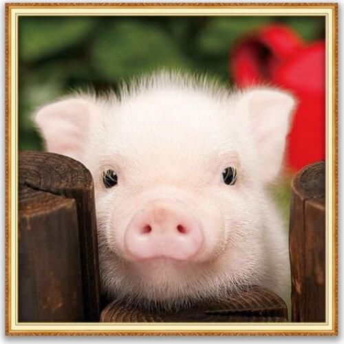 Animal Pig DIY Cross Stitch 11CT Embroidery Kits Craft Needlework Set Printed Canvas Cotton Thread Home Decoration Wholesale