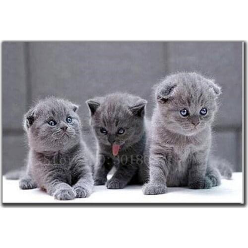 Diamond Mosaic Diy Diamond Embroidery Three Kittens Were Born Diamond Painting Cross Stitch Floral Rhinestone Decoration Sticker