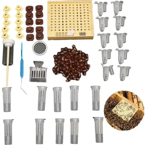 1 set beekeeping queen rearing tools grafting needle plastic Queen bee cage cover equipment for beekeeping marker queen bee