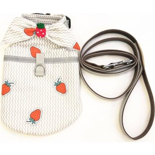 Fashion Fruit Style Vest Harness With Leash Reflective Stripe Yorkie Pet Clothes Dogs Pets Clothing Cat Dog Costume AML10
