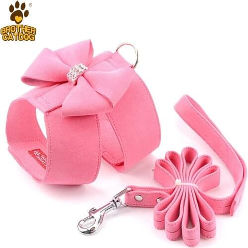 Dog Vest Harness for Small Dogs Medium Dogs Puppy Harness and Leash Set Step in Harness for Dogs Soft Mesh Comfort Fit with Pull