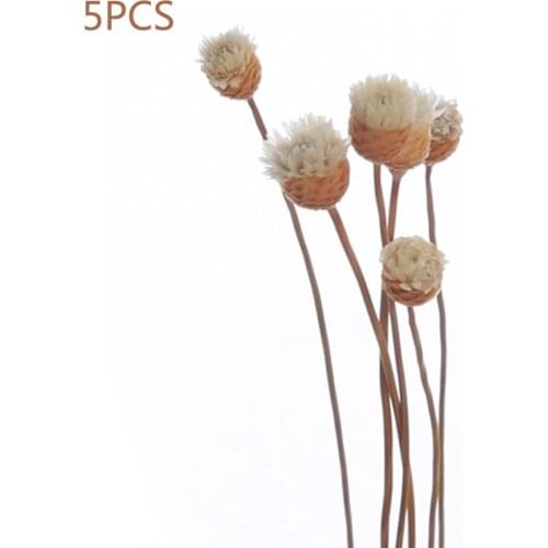 5pcs Artificial Flower Rattan Fragrance Diffuser Replacement Stick DIY Home Decoration Rattan