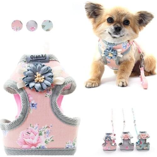 Love Pet Breast Strap Flower Dog Harness Traction Rope Small Dog Rope Dog Walking Rope Wholesale