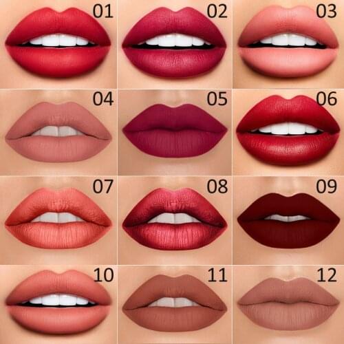 DNM 12 Colors 1pc Matte Lipstick Waterproof Moisturizing For Lips Long Lasting Lip Gloss Natural Cosmetics Makeup TSLM1