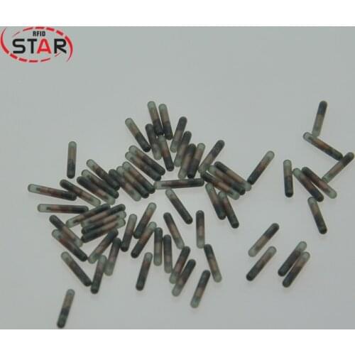 40pcs 1.25*7mm Mini size animal tags ISO11784/5 FDX-B pet Microchips Snake Fish Dog cow cats Animal Identification EM4305 chip