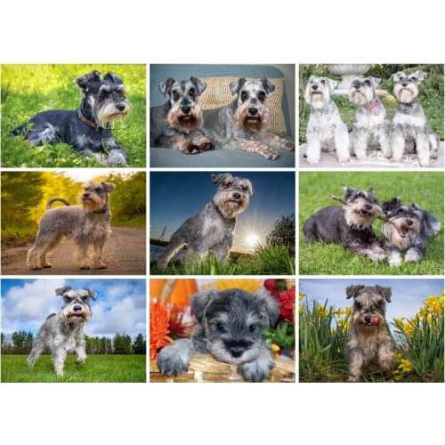 Schnauzer Dog Diamond Painting By Number Crystal Rhinestones Daimond Embroidery,Full Square Mosaic Kits 5D Cross Stitch Painting