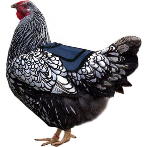 Chicken Saddle Apron Hen Back Protection Backyard Poultry Chicken Feather Protector Jackets With Elastic Strap Cloth Cover