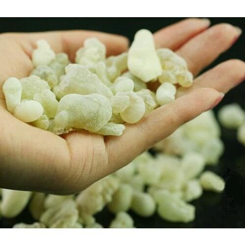 Oman Hojari Frankincense Green Frankincense Burning Well Resin Fragrance FrankinsenseB.sacra Hydrosol Edible Grade