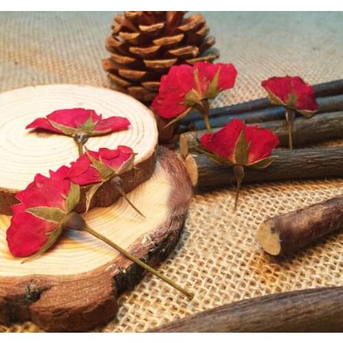 120pcs Dried Side Pressed Red Rose Flower Plants Herbarium For Jewelry Pendant Earrings Bracelet Making Accessories