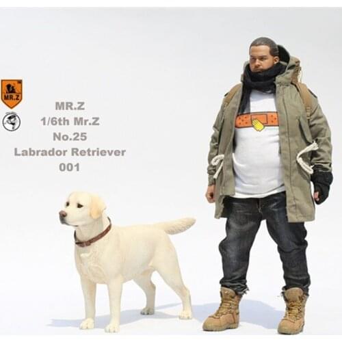 24cm 1/6 Scale Simulation Animal Standing walking Pet labrador retriever dog Model Toy Gift Model Car Scene Decoration home show