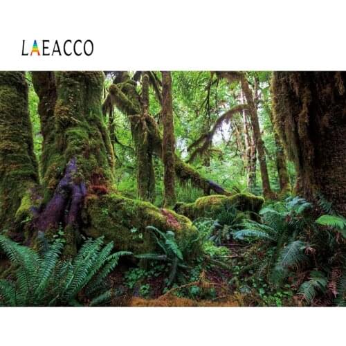 Laeacco Forest Backgrounds For Photography Old Tree Tropical Rain Forest Moss Green Shrub Natural View Photo Backdrop Photocall