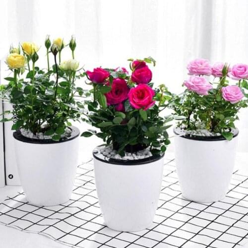 Hot sale new Self-watering Plant Flower Pot Wall Hanging Plastic Planter House Garden Planters Creative Plastic Decor Supply