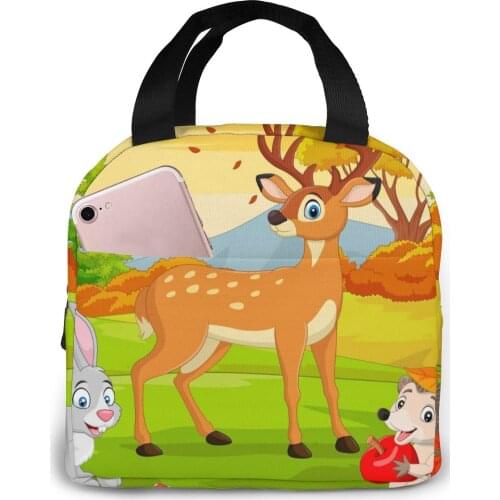 Cartoon Wild Animals Cooler Lunch Box Portable Insulated Lunch Bag Thermal Food Picnic Lunch Bags