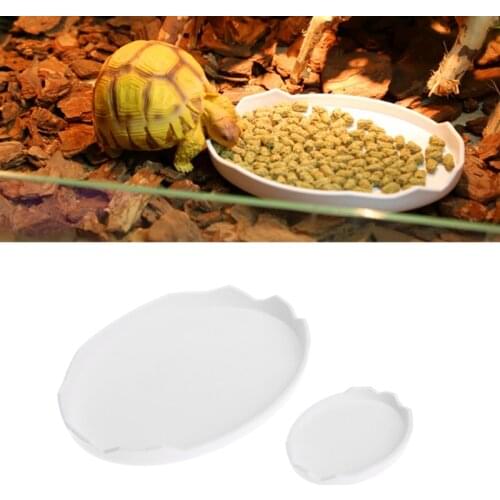 Pet Tortoise Snake Reptile Terrarium Drinking Food Water Bowl Dish Feeder Tool