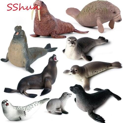Static solid seals, sea lions, manatees, early childhood education cognitive toys for children, decoration simulation marine