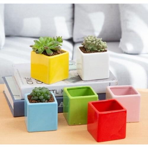 Six-color Small Square Ceramic Meaty Flowerpot Combination Flowerpot Gardening Creative Desktop Thumb Flowerpot