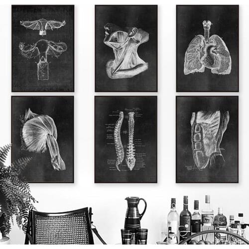 Muscle Foot Bone Heart Anatomy Skeleton Wall Art Canvas Painting Nordic Posters And Prints Wall Pictures For Doctor Office Decor