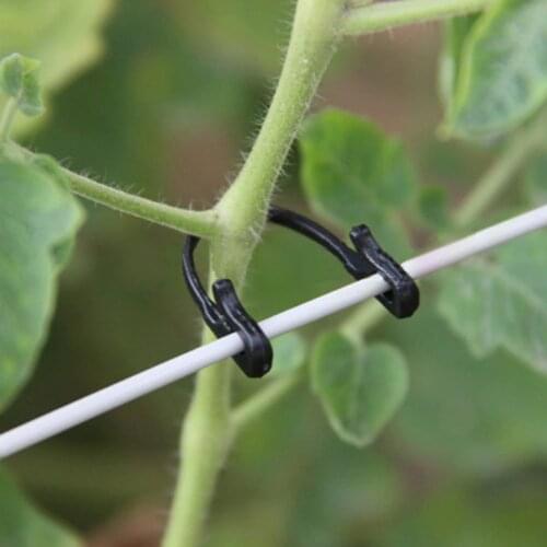 100pcs Garden Plants Bundled Buckle Accessories Fixed Vegetable Strapping Of fruit Vines